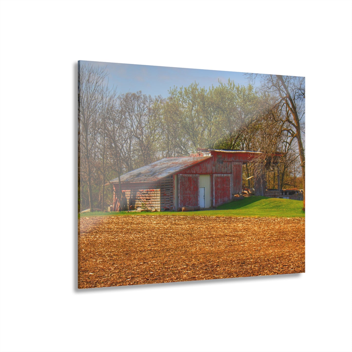 U R There Photography Sohn Roadside Relic Rustic Farmhouse Acrylic Wall Print