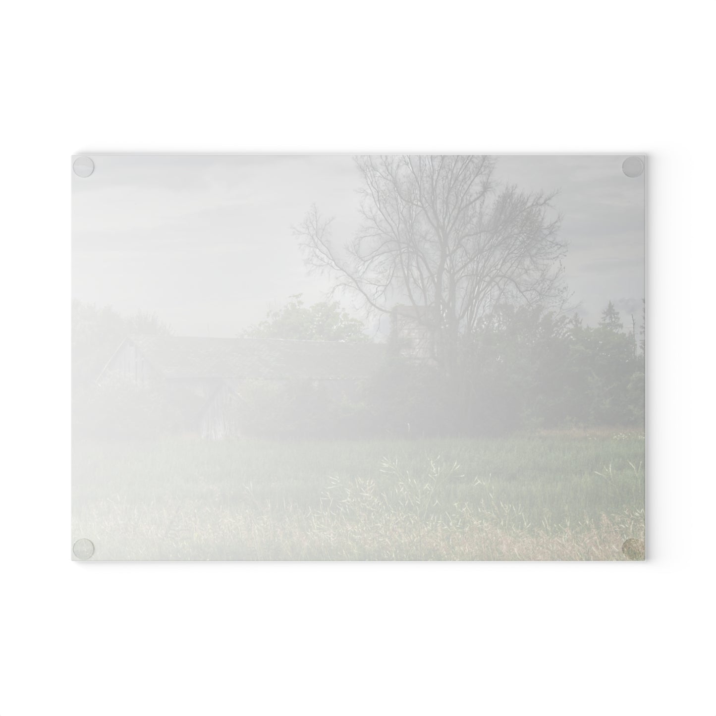 U R There Photography Wilder Road Grey III Rustic Farmhouse Tempered-Glass Cutting Board
