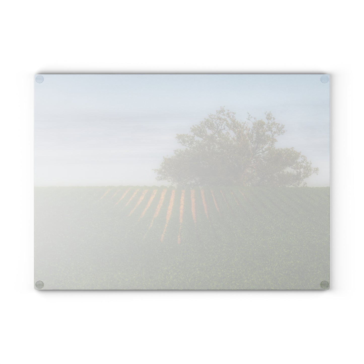 U R There Photography Tree Overlooking Farm Field Rustic Farmhouse Tempered-Glass Cutting Board