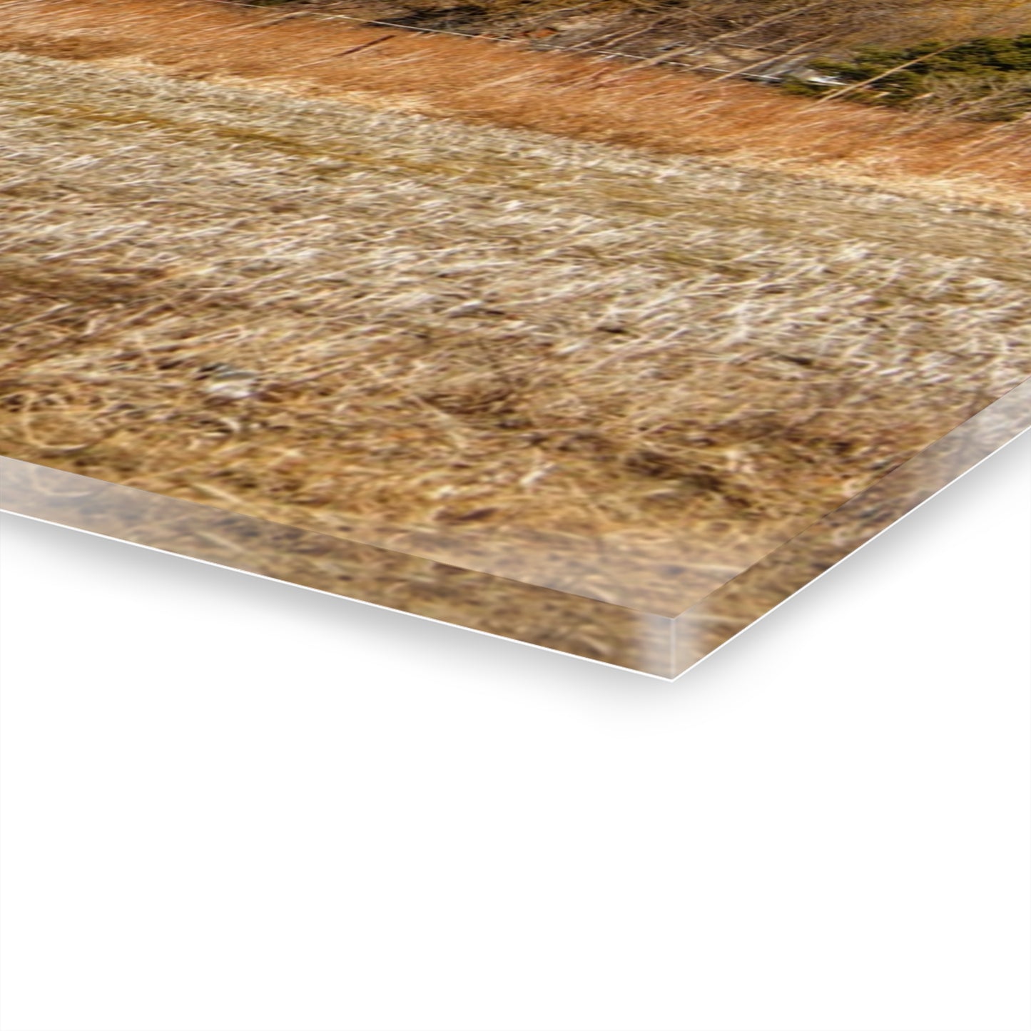 U R There Photography Hidden Scotch Settlement Red Rustic Farmhouse Acrylic Wall Print