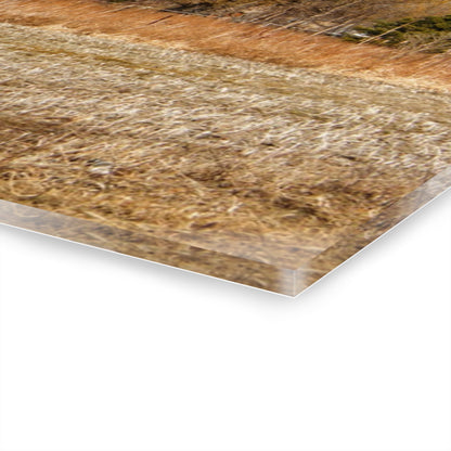 U R There Photography Hidden Scotch Settlement Red Rustic Farmhouse Acrylic Wall Print