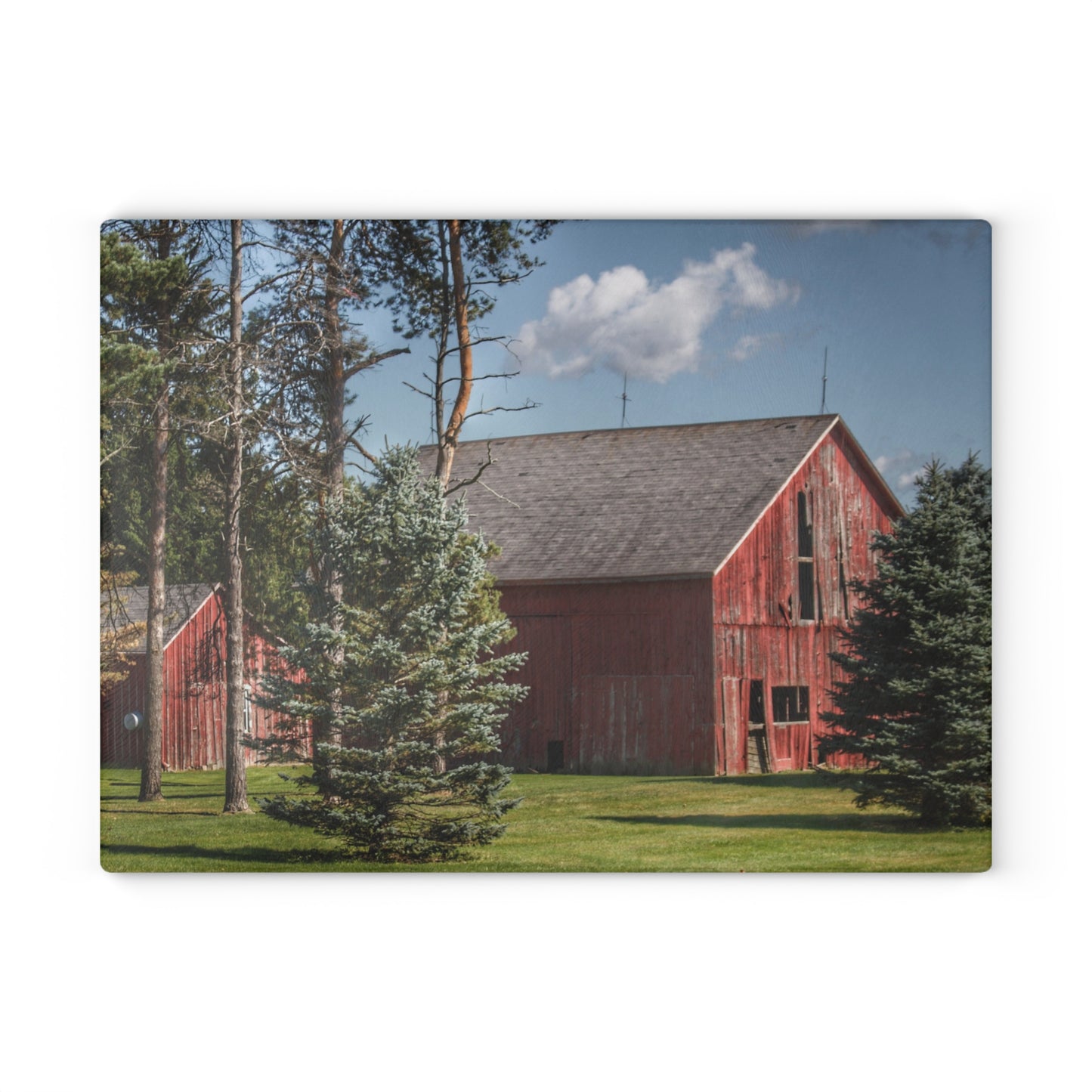U R There Photography Havens Road Red Among the Pines Rustic Farmhouse Tempered-Glass Cutting Board