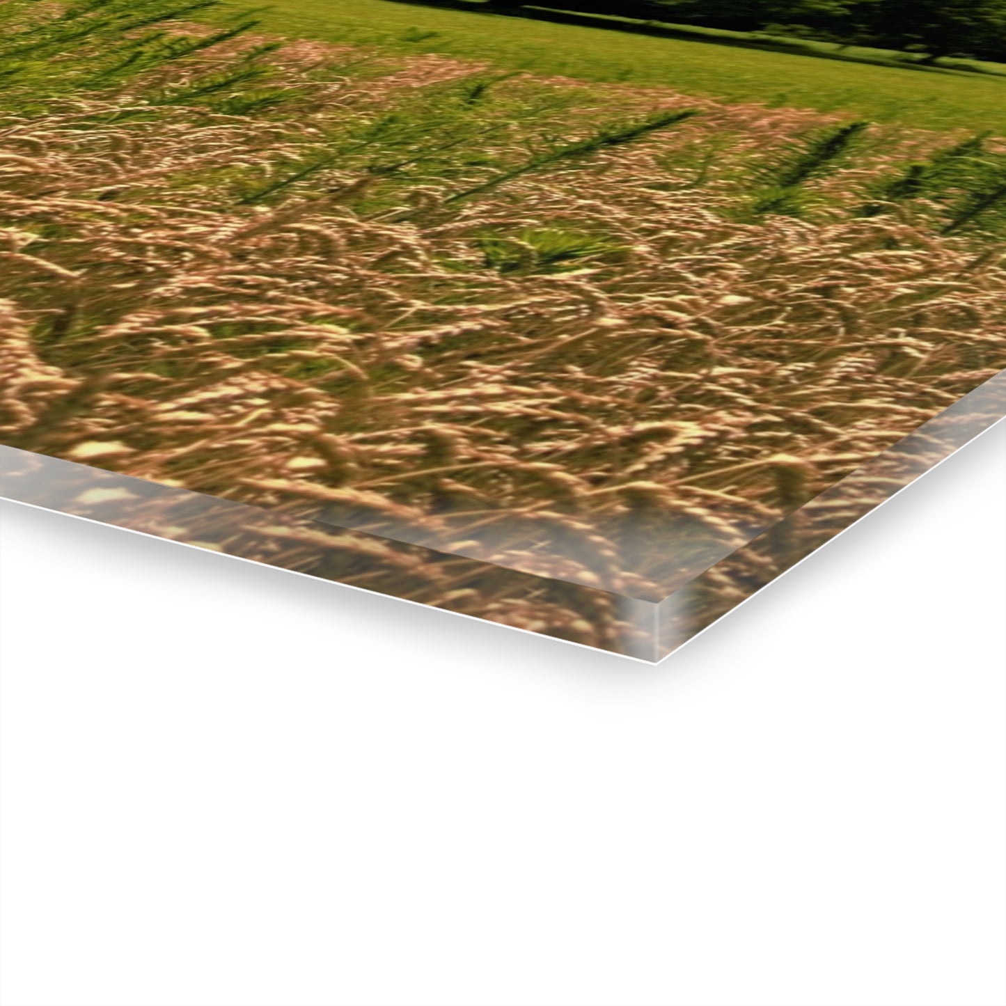 U R There Photography Northern White Rustic Farmhouse Acrylic Wall Print