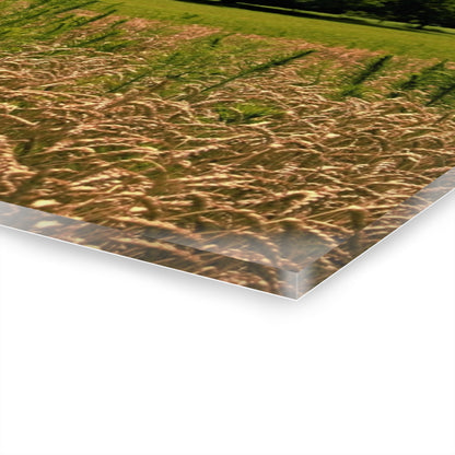 U R There Photography Northern White Rustic Farmhouse Acrylic Wall Print