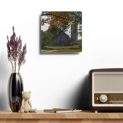 U R There Photography Hidden Grey of Tuscola Rustic Farmhouse Acrylic Analog Wall Clock