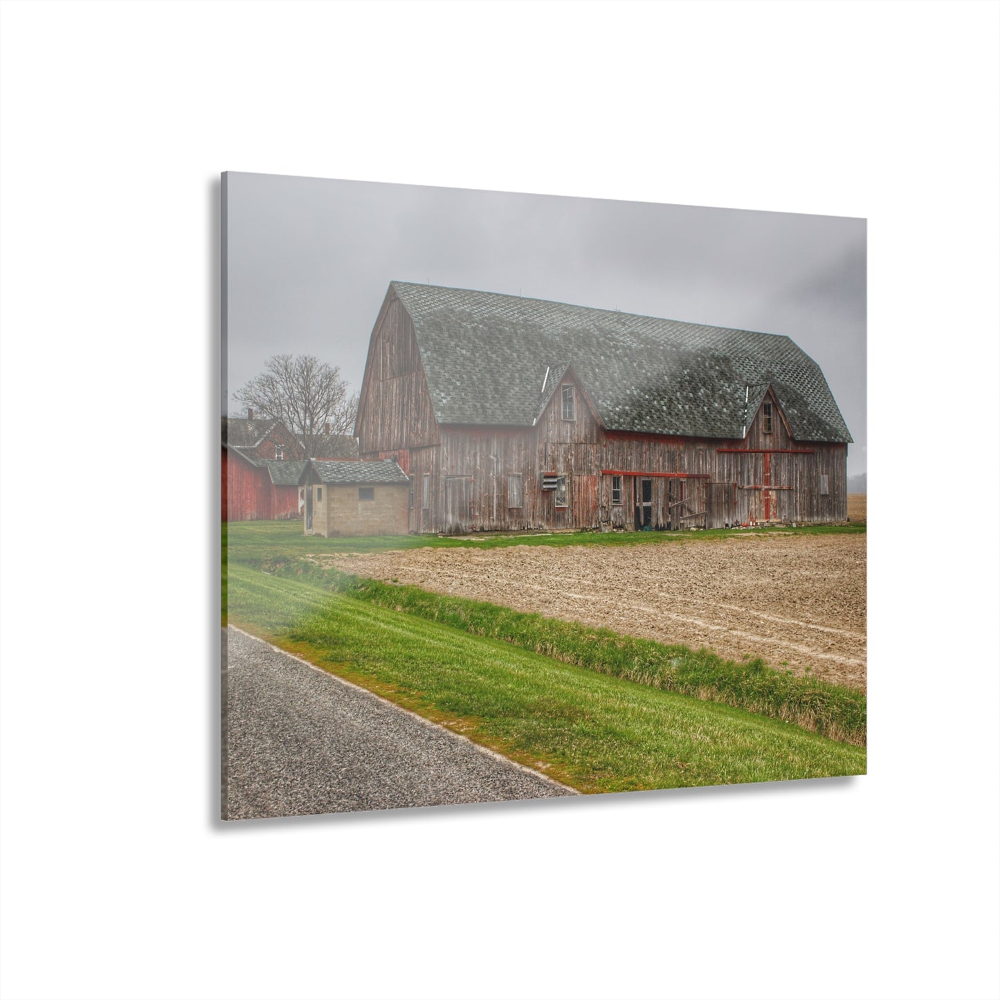 U R There Photography Roedel Roadside Reds I Rustic Farmhouse Acrylic Wall Print