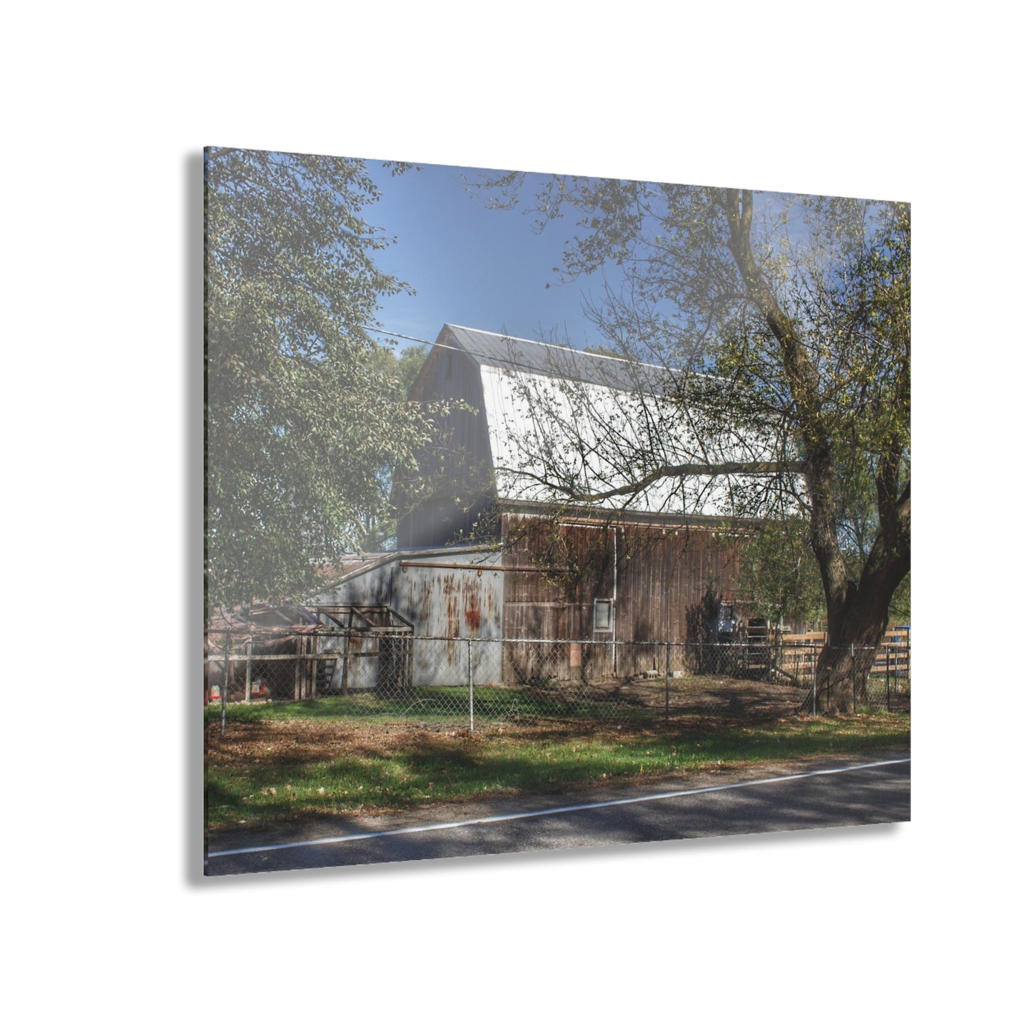 U R There Photography Birch Run Road Grey Rustic Farmhouse Acrylic Wall Print