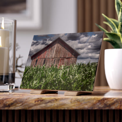 U R There Photography Above the July Corn Rustic Farmhouse Decorative Ceramic Tile