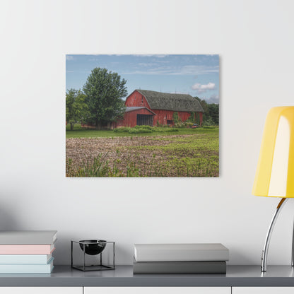 U R There Photography Murphy Lake Road Reds Rustic Farmhouse Acrylic Wall Print