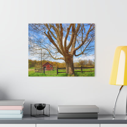 U R There Photography Delano Oak and Little Red Rustic Farmhouse Acrylic Wall Print