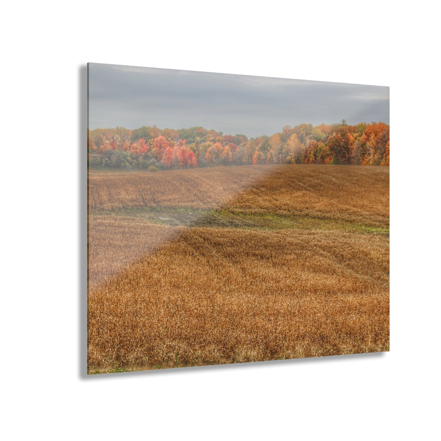 U R There Photography Colors of Fall on Lippincott Road Rustic Farmhouse Acrylic Wall Print