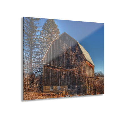 U R There Photography Newark Road Brown Beauty Rustic Farmhouse Acrylic Wall Print