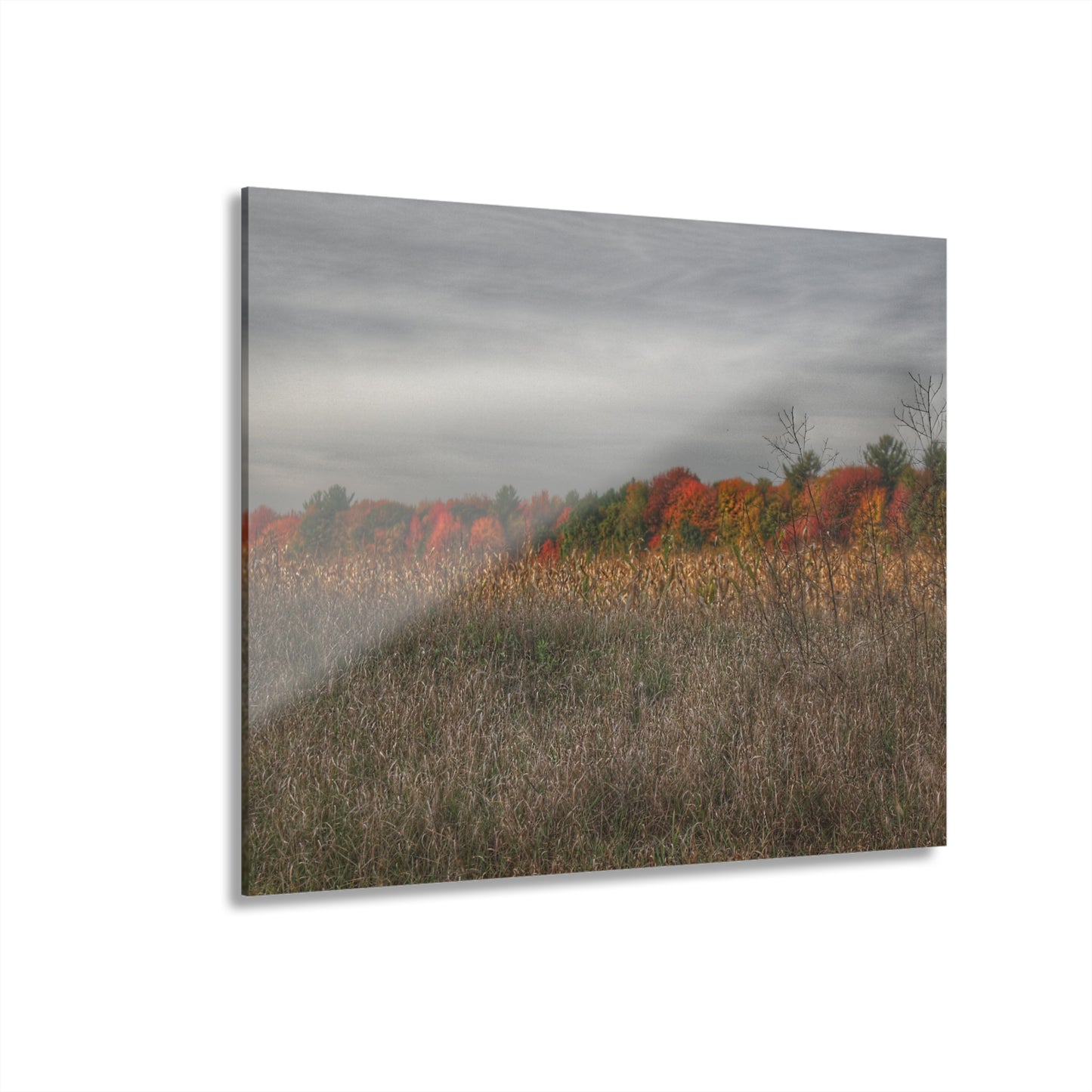 U R There Photography Fall on Murphy Lake V Rustic Farmhouse Acrylic Wall Print