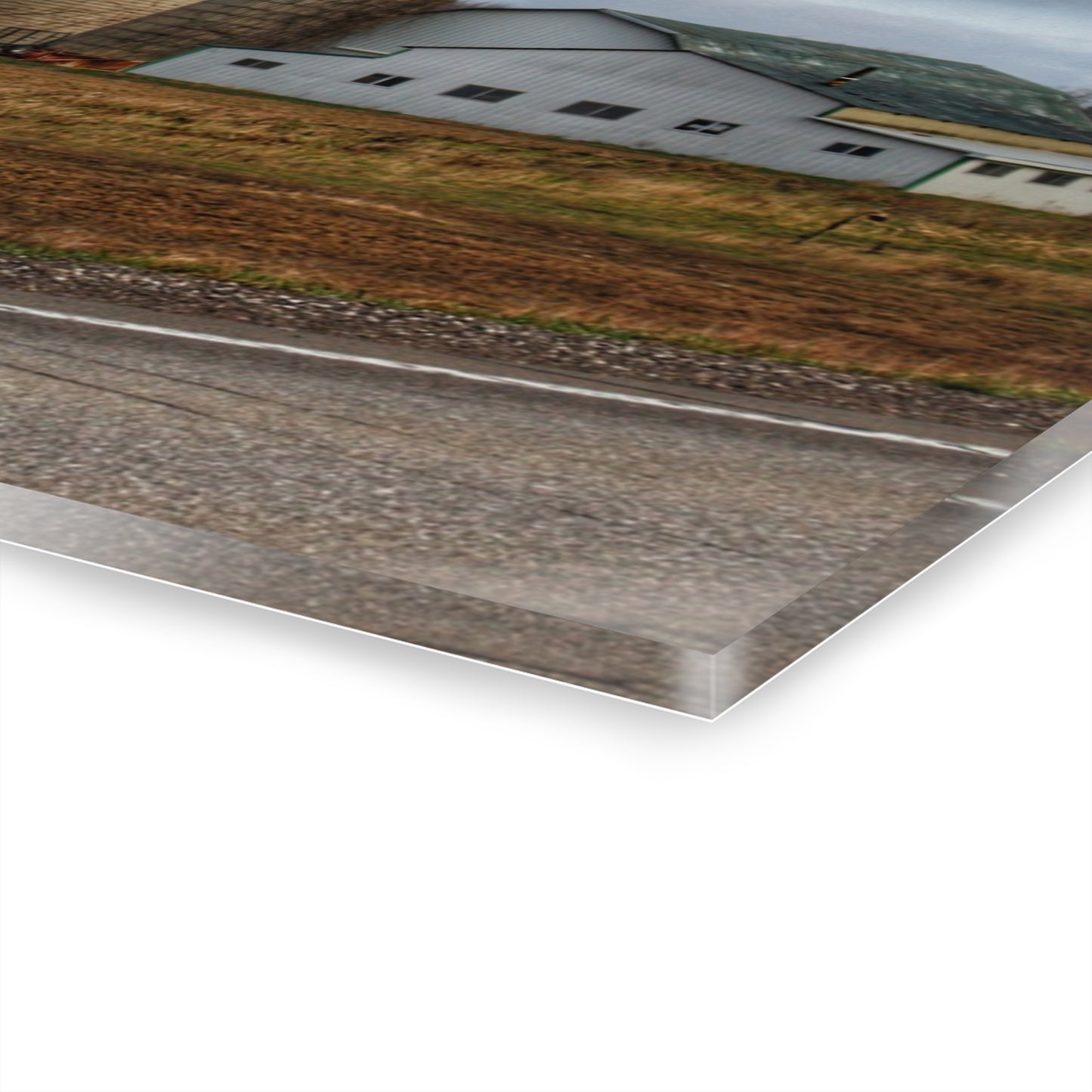 U R There Photography M-24 Whites Rustic Farmhouse Acrylic Wall Print