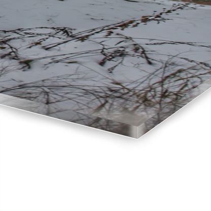 U R There Photography Hayes Road Grey in Winter II Rustic Farmhouse Acrylic Wall Print