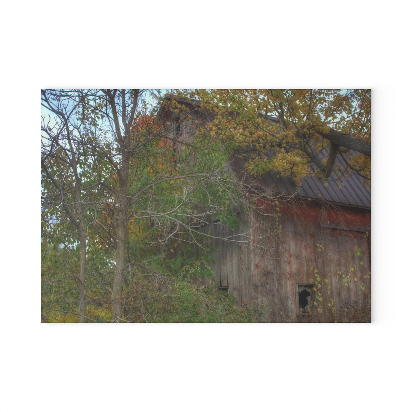 U R There Photography Annie's Barn I Rustic Farmhouse Tempered-Glass Cutting Board