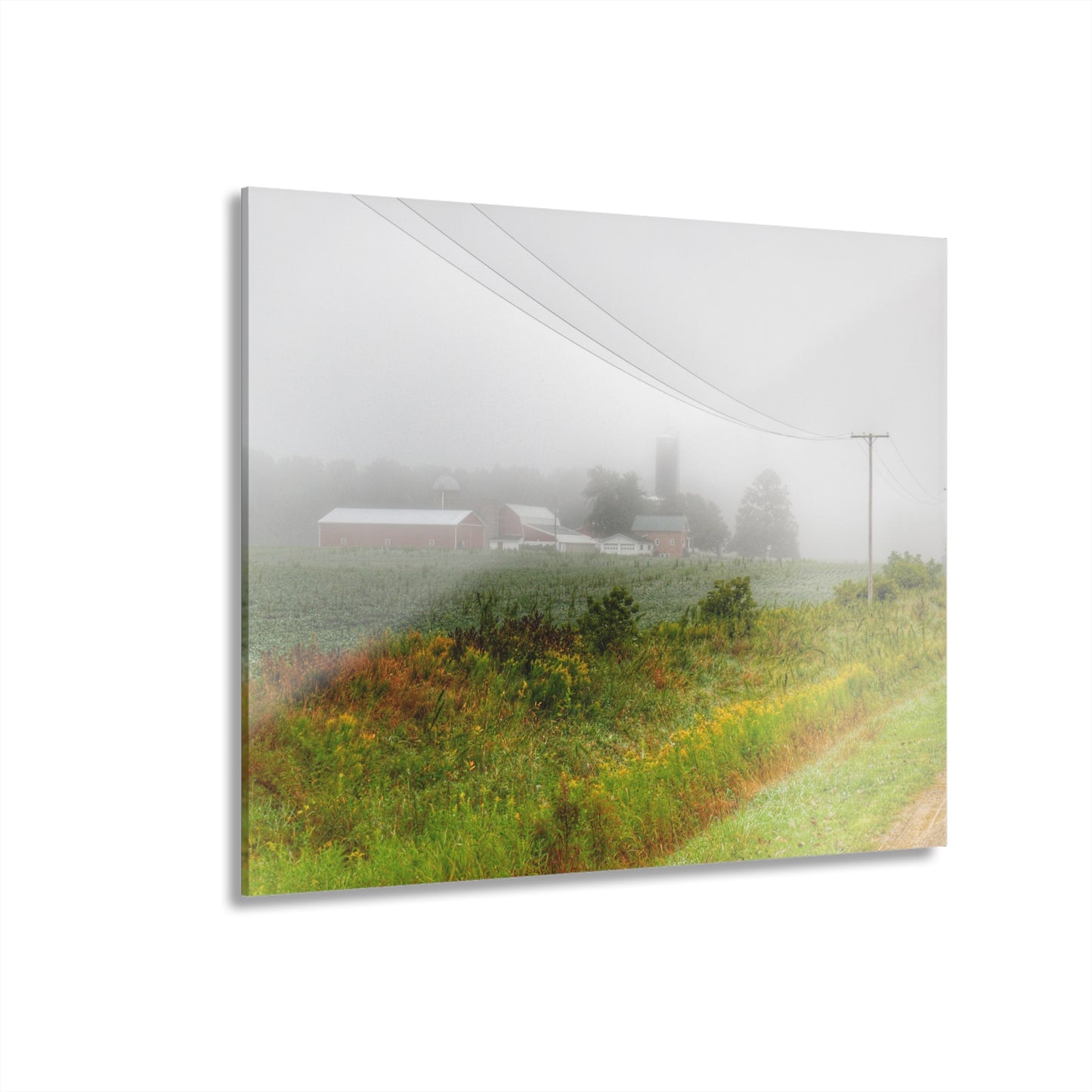 U R There Photography Beyond the Fog Rustic Farmhouse Acrylic Wall Print