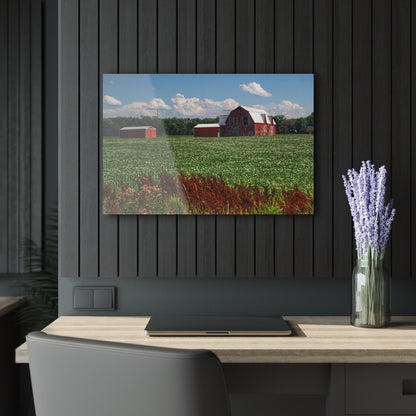 U R There Photography South Gera Road Red Rustic Farmhouse Acrylic Wall Print