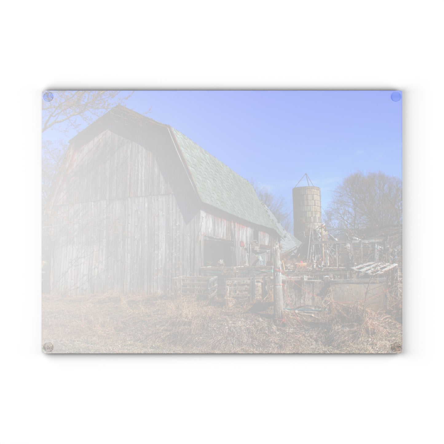 U R There Photography Romeo Plank Road Forgotten Greys Rustic Farmhouse Tempered-Glass Cutting Board 8"x 11"