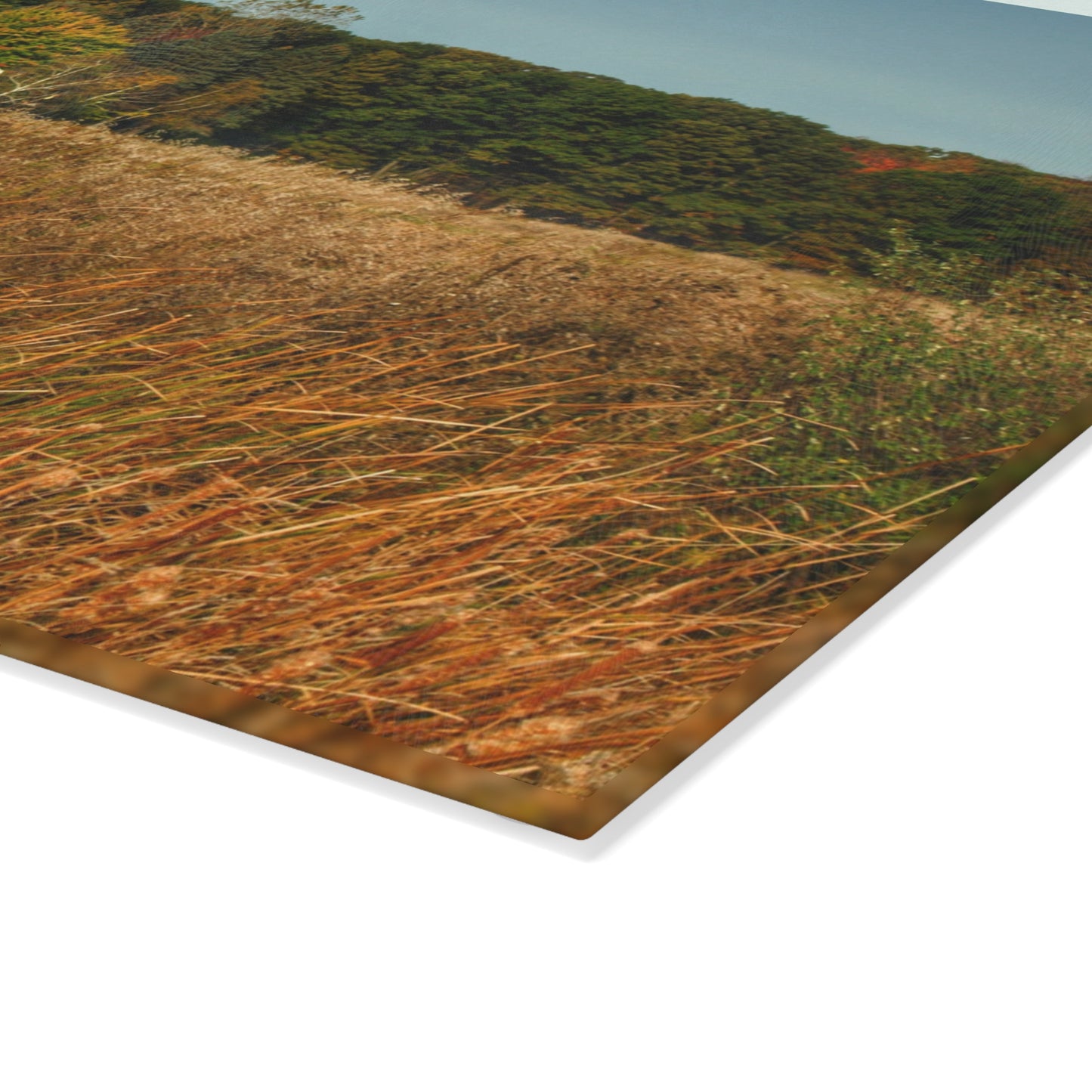 U R There Photography Murphy Lake Road Hidden Red Rustic Farmhouse Tempered-Glass Cutting Board