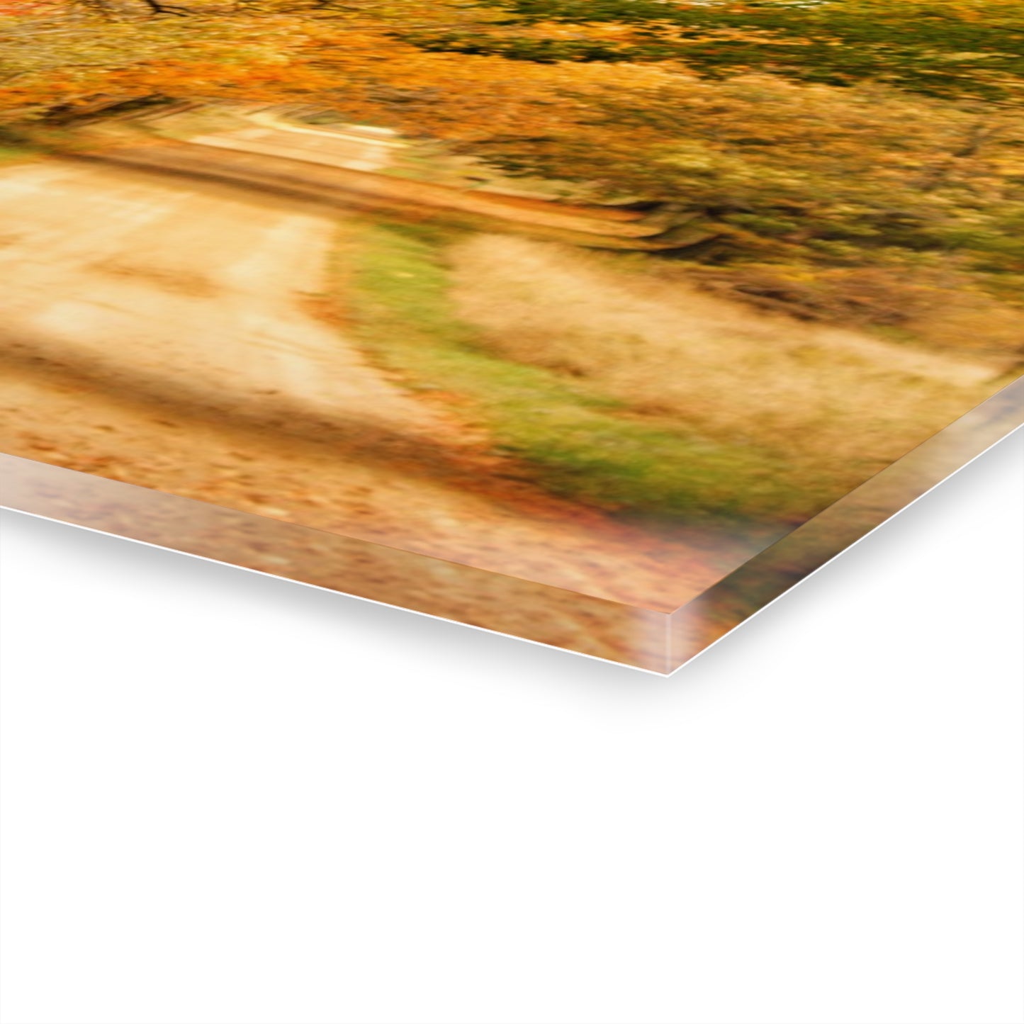 U R There Photography Fall on Murphy Lake II Rustic Farmhouse Acrylic Wall Print