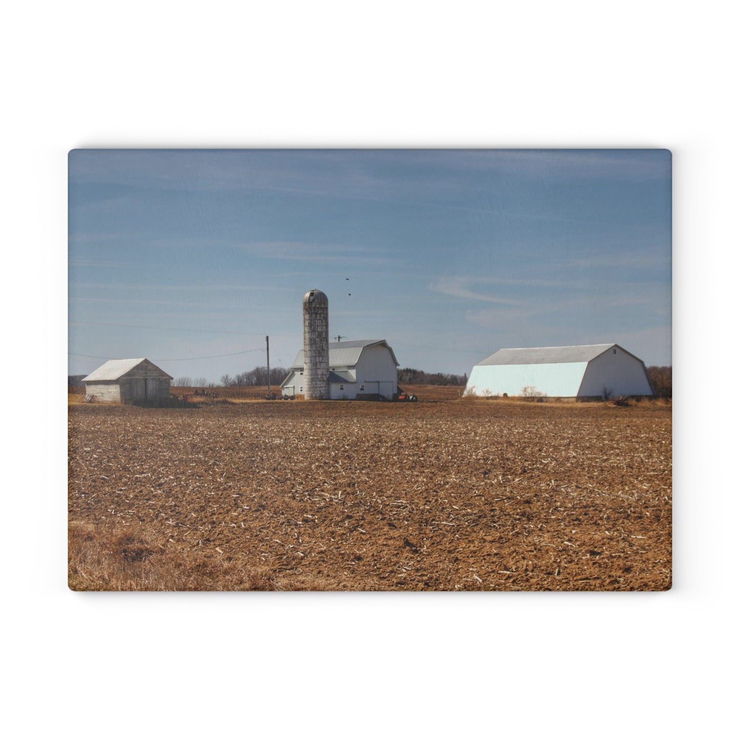 U R There Photography Colling Whites Rustic Farmhouse Tempered-Glass Cutting Board