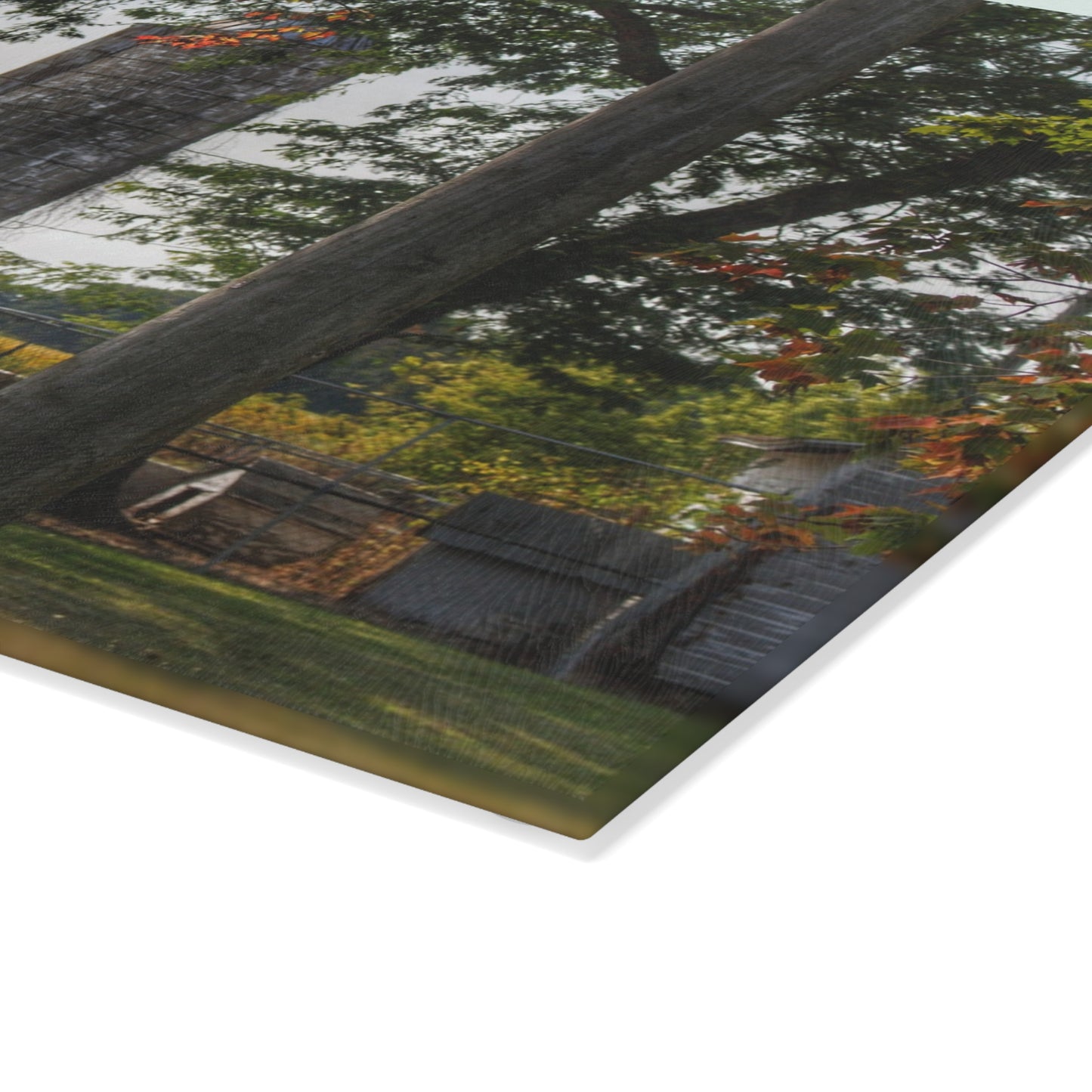 U R There Photography Hidden Grey of Tuscola Rustic Farmhouse Tempered-Glass Cutting Board