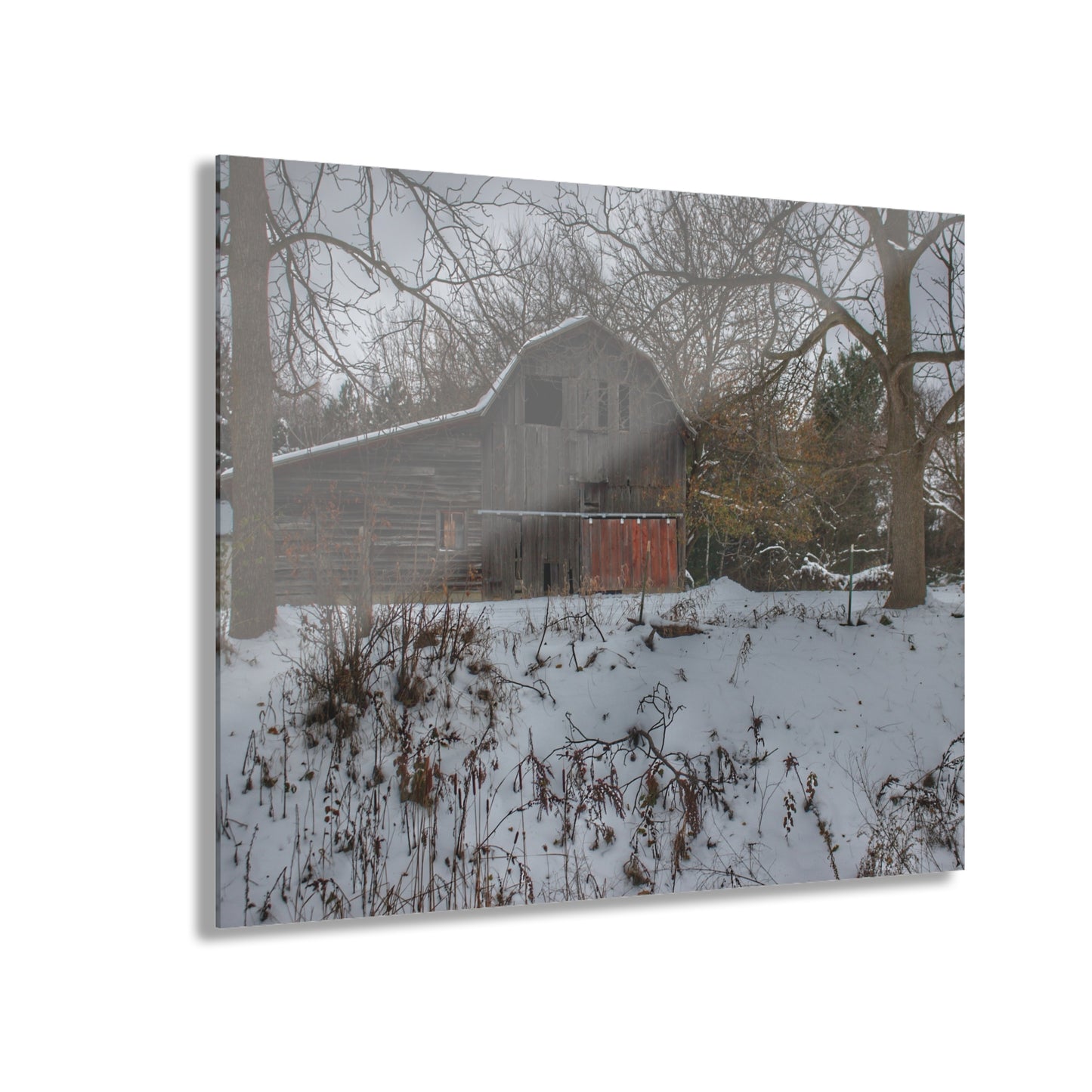 U R There Photography Hayes Road Grey in Winter II Rustic Farmhouse Acrylic Wall Print