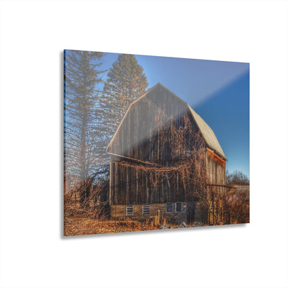 U R There Photography Newark Road Brown Beauty Rustic Farmhouse Acrylic Wall Print