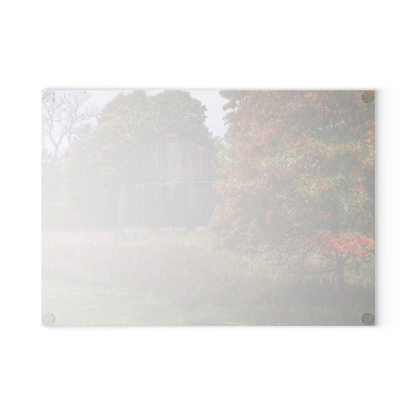 U R There Photography Mount Morris Road Grey in the Fall Rustic Farmhouse Tempered-Glass Cutting Board