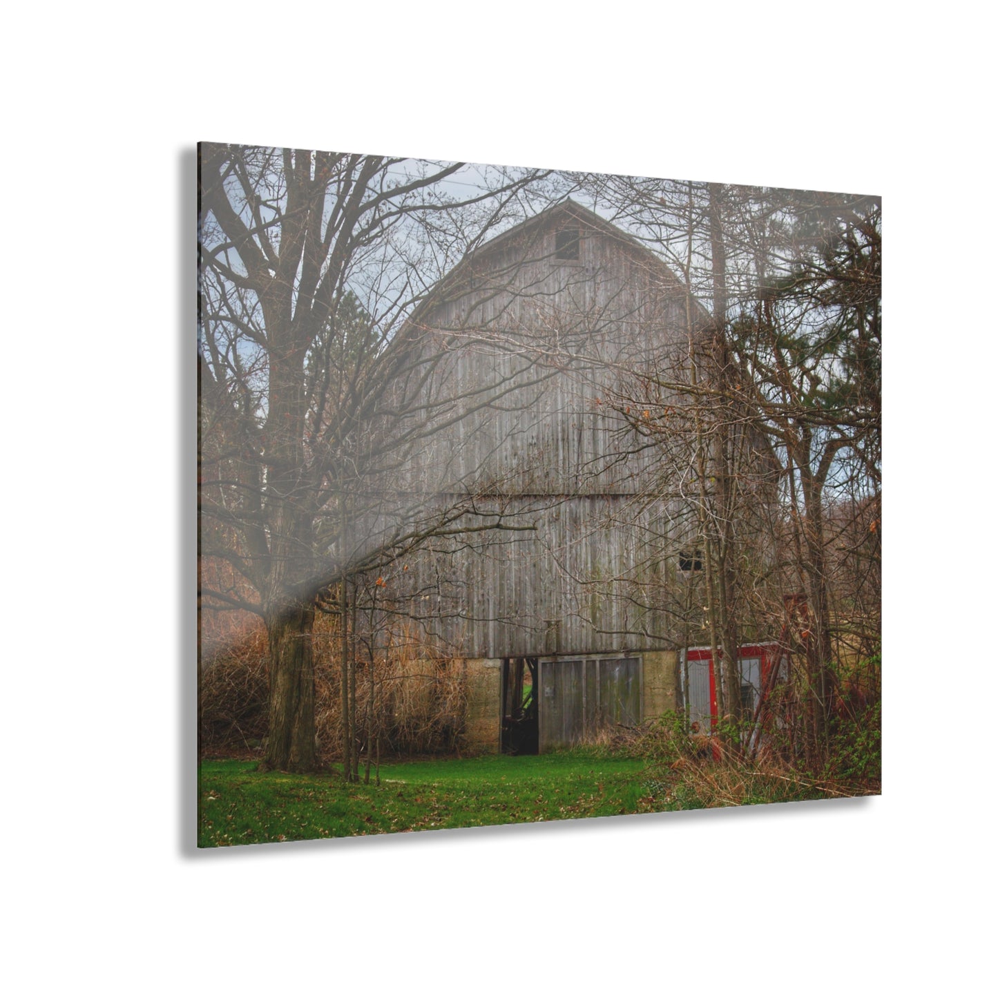 U R There Photography West Murphy Lake Road Grey Rustic Farmhouse Acrylic Wall Print