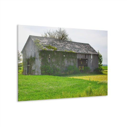 U R There Photography Caro Road Twin Grey II Rustic Farmhouse Acrylic Wall Print