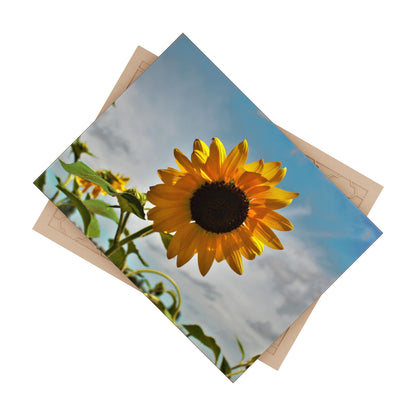 U R There Photography Awakening Sunflower Rustic Farmhouse Decorative Ceramic Tile 6" × 8" Glossy