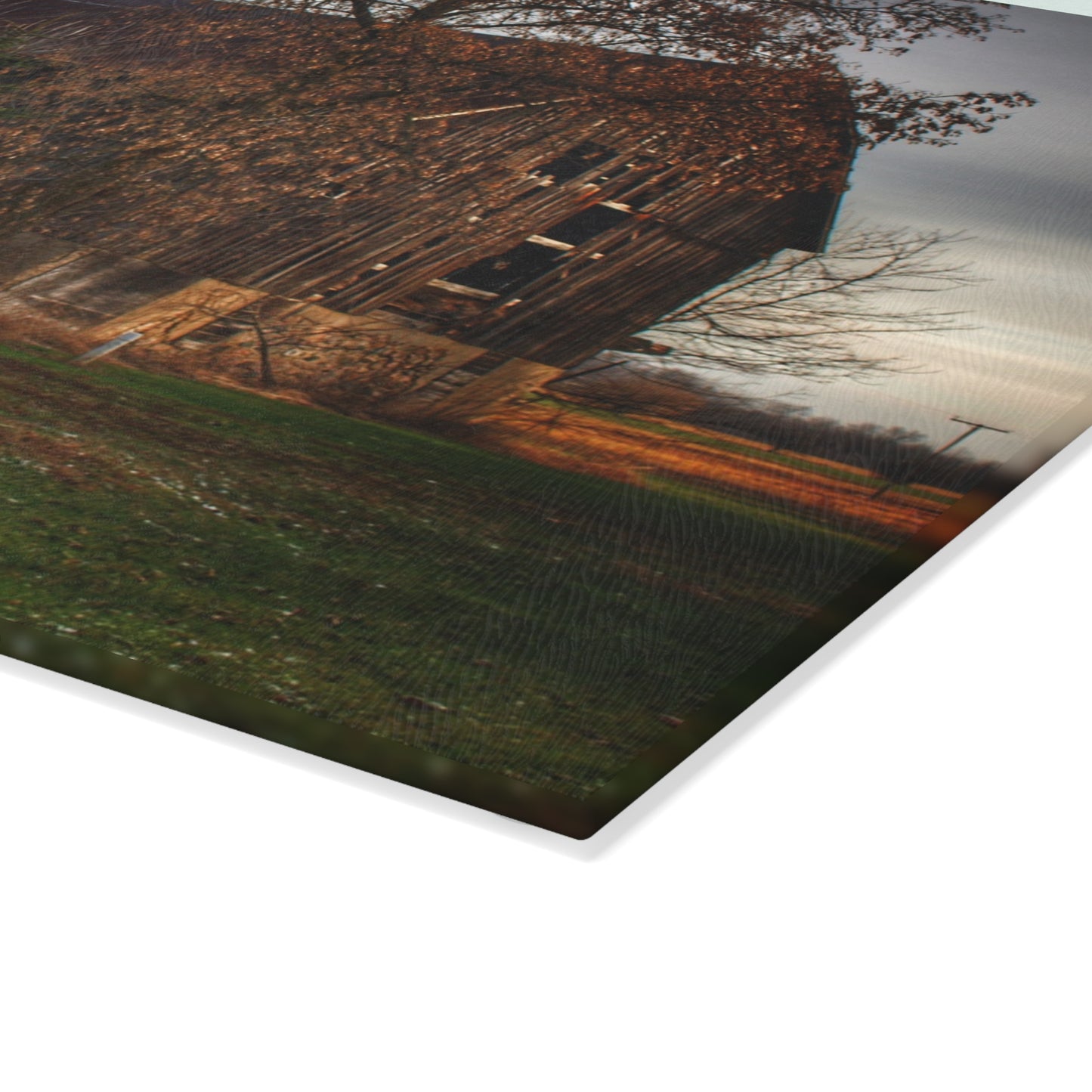 U R There Photography Melvin Grey Rustic Farmhouse Tempered-Glass Cutting Board