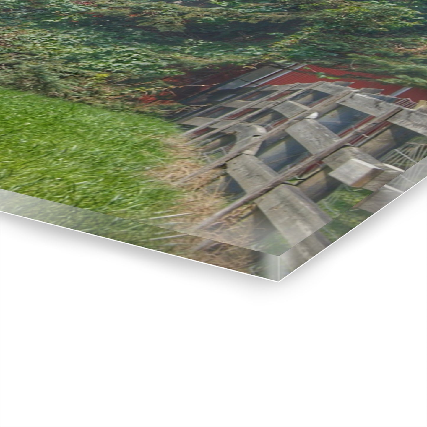 U R There Photography Modern Red I Rustic Farmhouse Acrylic Wall Print