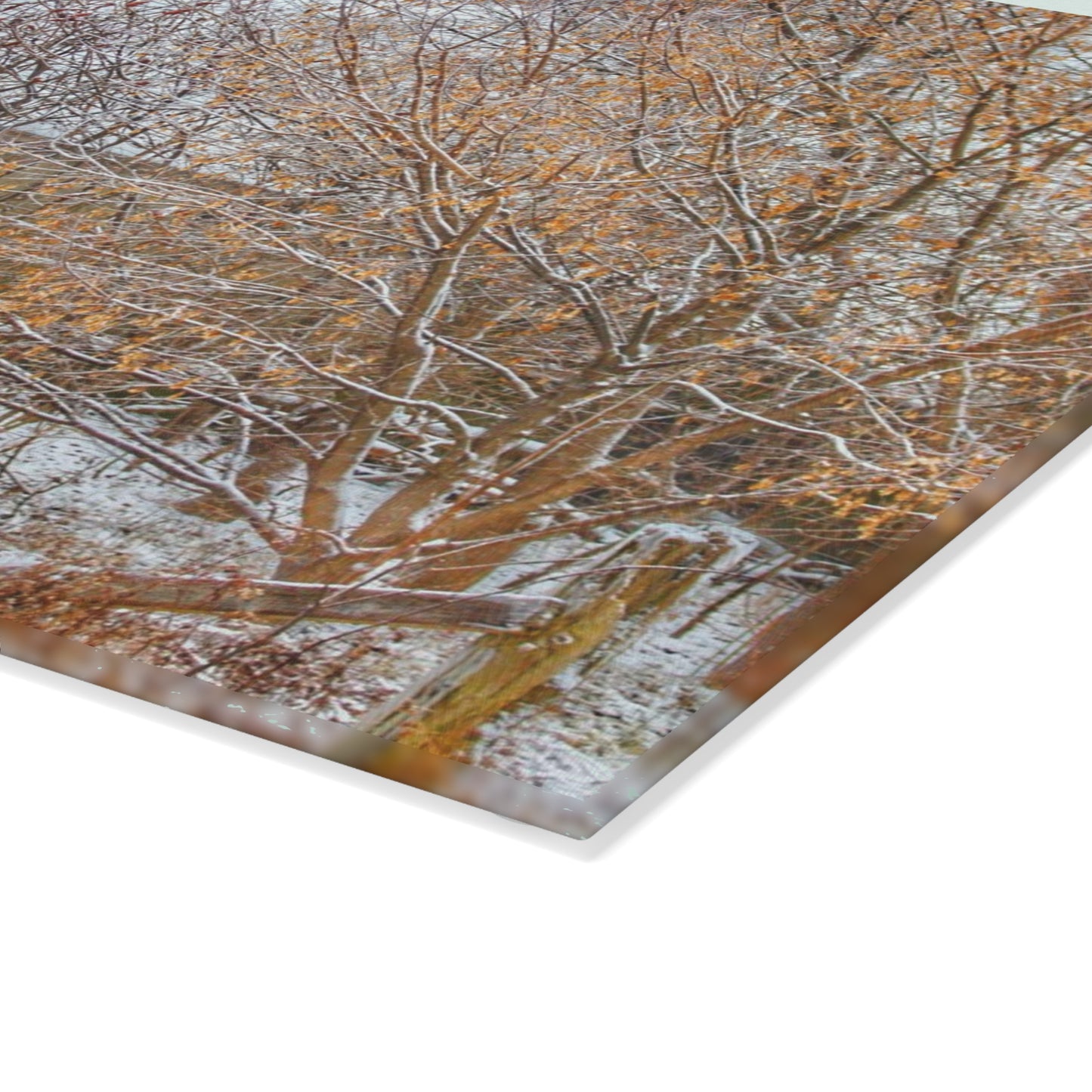 U R There Photography Dryden Road Hidden Winter Grey Rustic Farmhouse Tempered-Glass Cutting Board