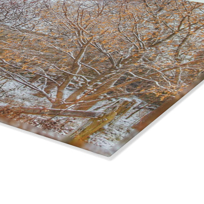 U R There Photography Dryden Road Hidden Winter Grey Rustic Farmhouse Tempered-Glass Cutting Board