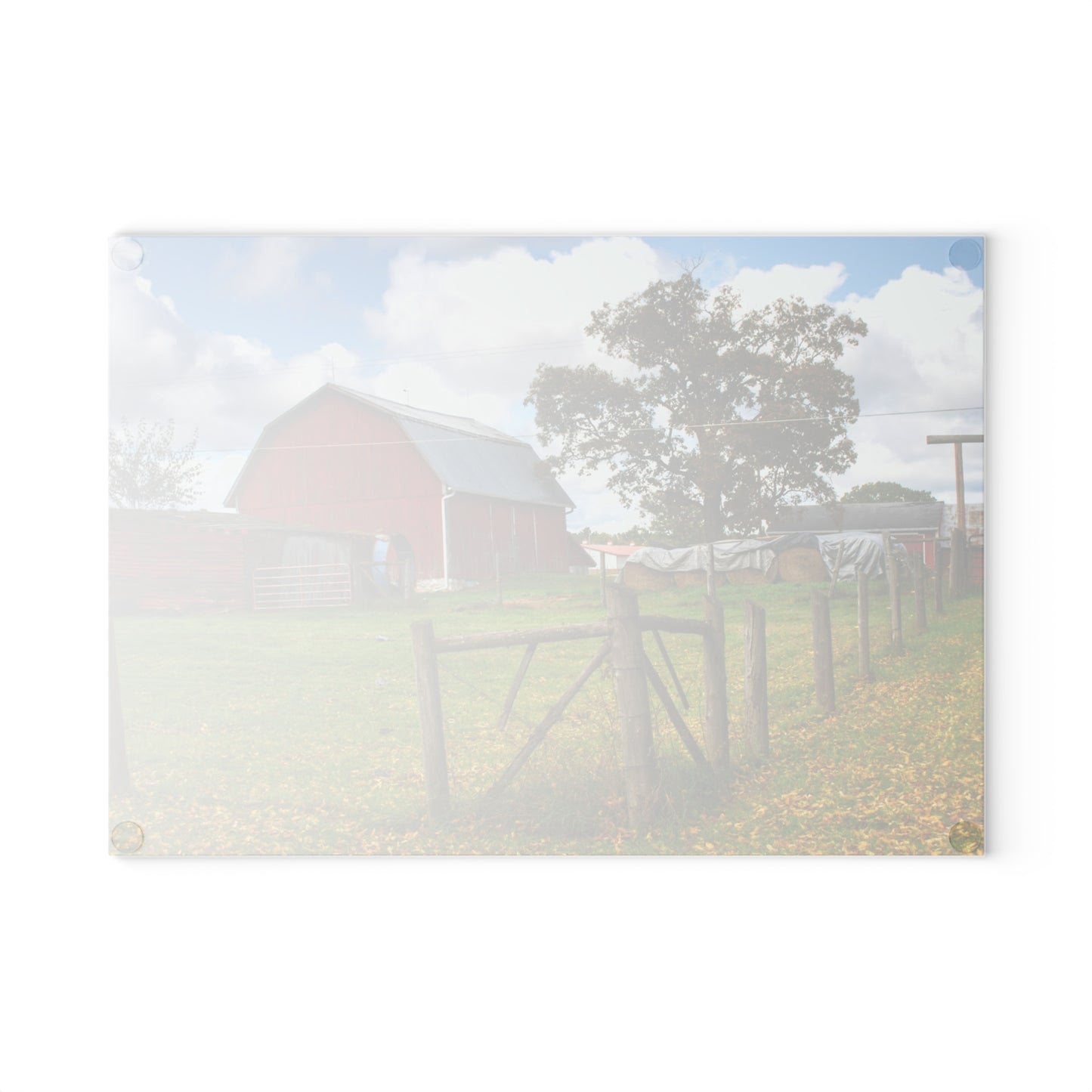U R There Photography Beyond the Fence on Frances Road Rustic Farmhouse Tempered-Glass Cutting Board