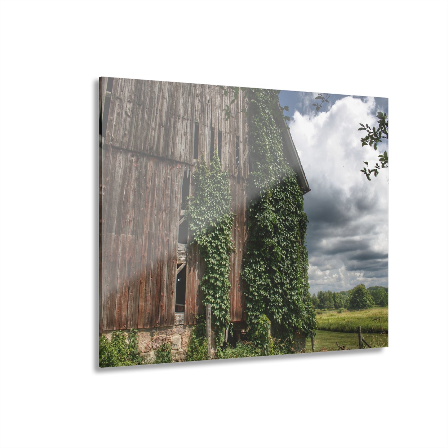 U R There Photography North Branch Ivy Grey II Rustic Farmhouse Acrylic Wall Print