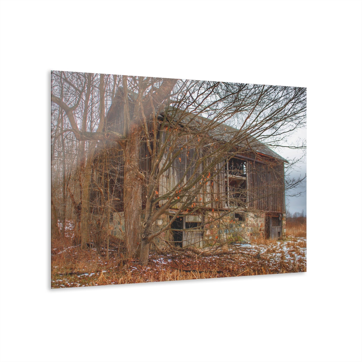 U R There Photography Norway Lake Hidden Grey II Rustic Farmhouse Acrylic Wall Print