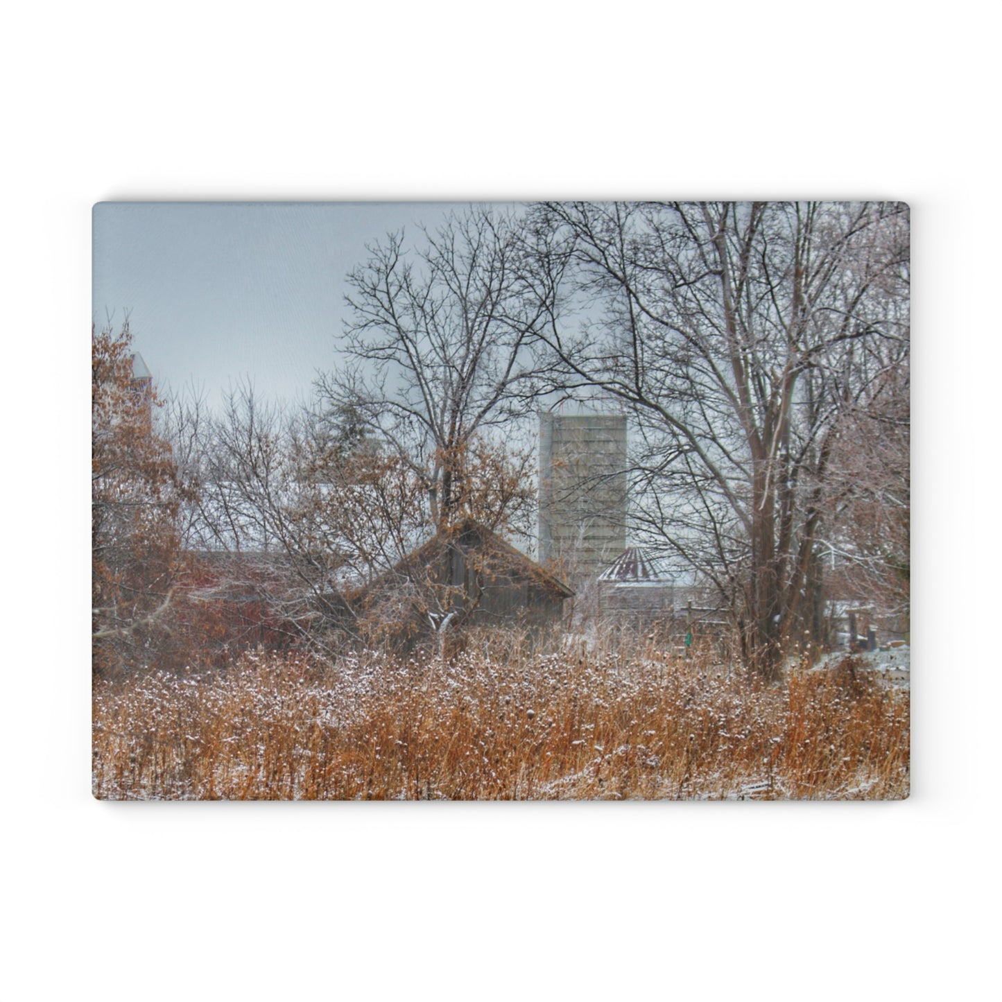 U R There Photography Wale Road Hidden Grey Rustic Farmhouse Tempered-Glass Cutting Board