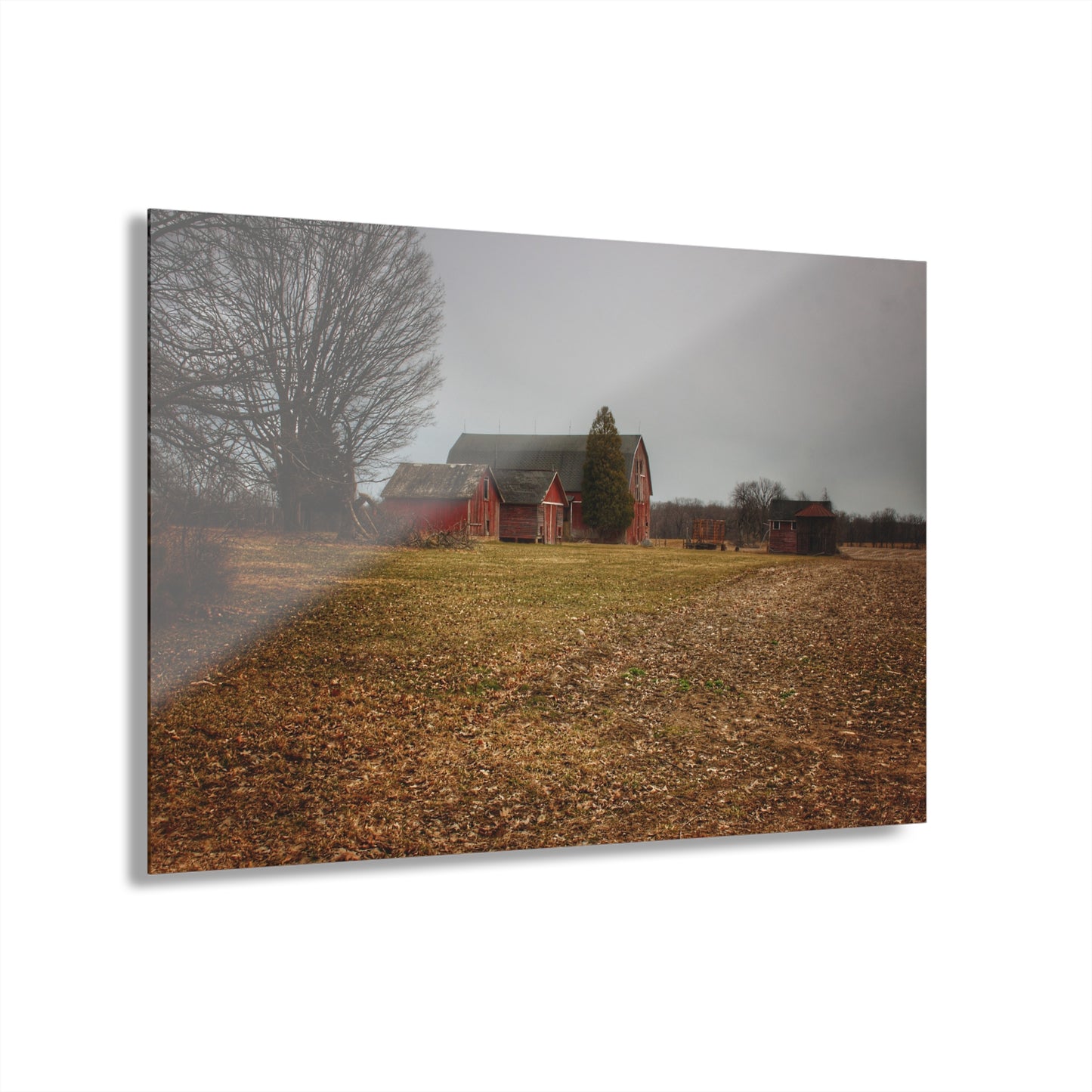 U R There Photography Wilder Road Reds in Spring Rustic Farmhouse Acrylic Wall Print