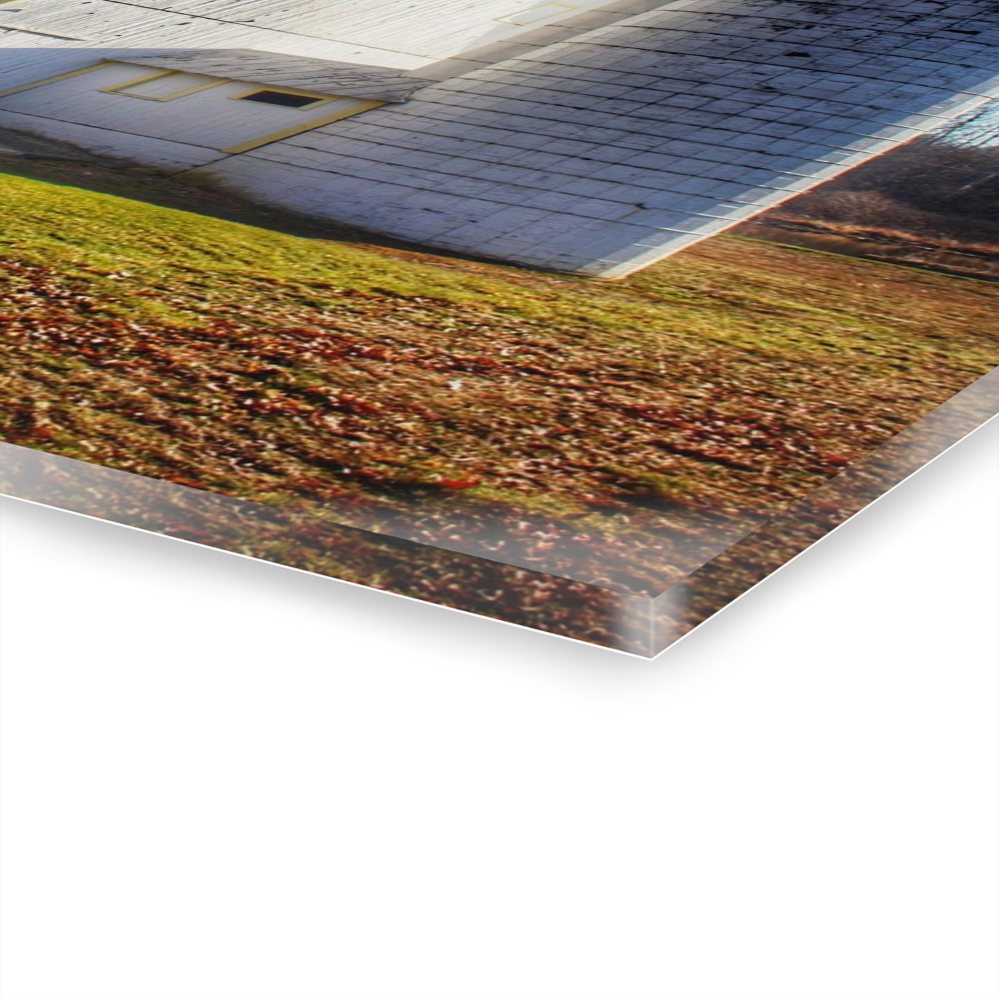 U R There Photography Elba White Rustic Farmhouse Acrylic Wall Print