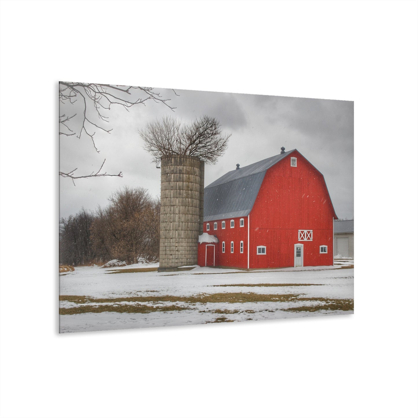 U R There Photography Hollow Corners Red Tree Silo I Rustic Farmhouse Acrylic Wall Print