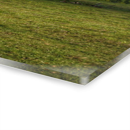 U R There Photography Kingston Plain Road Cow Barn Rustic Farmhouse Acrylic Wall Print