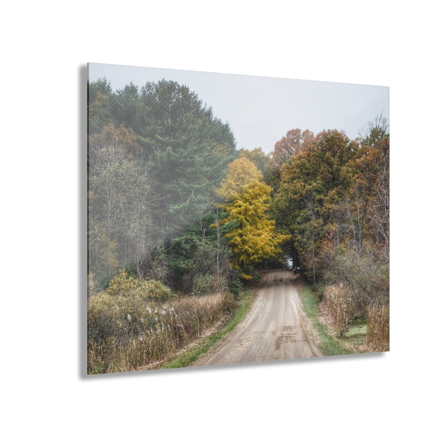 U R There Photography Country Roads in Dryden I Rustic Farmhouse Acrylic Wall Print