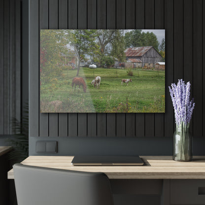 U R There Photography Front Yard Ponies Rustic Farmhouse Acrylic Wall Print