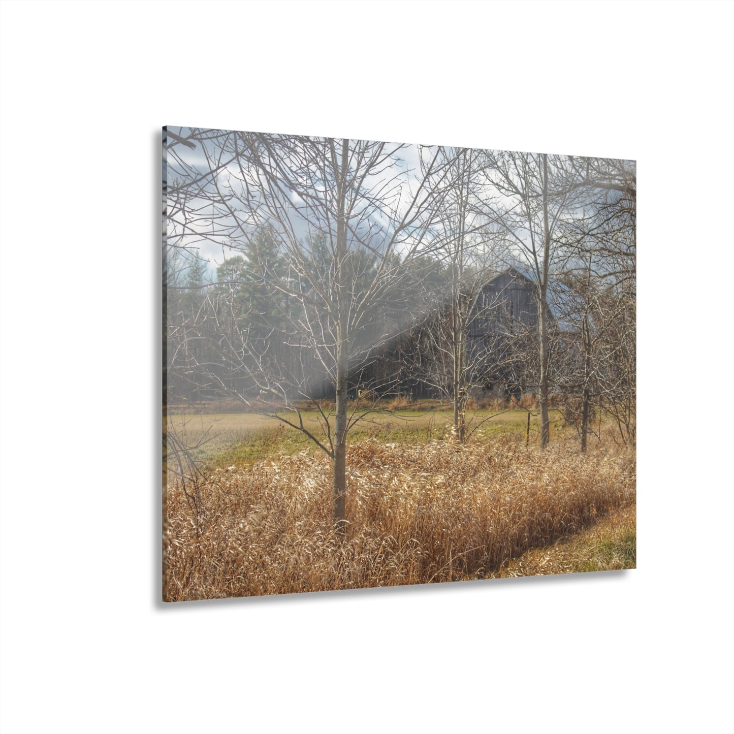 U R There Photography Speaker Road Hidden Grey Rustic Farmhouse Acrylic Wall Print