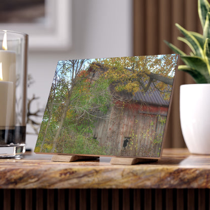U R There Photography Annie's Barn I Rustic Farmhouse Decorative Ceramic Tile