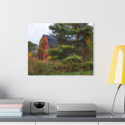 U R There Photography Green Corners Road Hidden Red Rustic Farmhouse Acrylic Wall Print